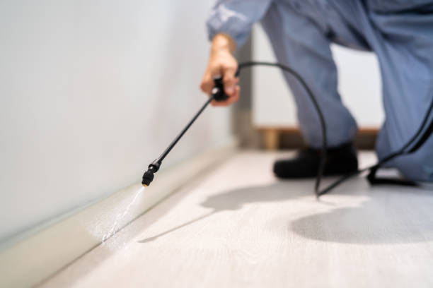 Licensed Ant Control service in Terrell County County, TX - Nex Pest Control